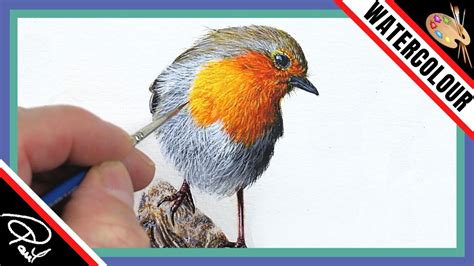 Watercolour Bird Painting Tutorial How To Paint A Robin Preview Youtube