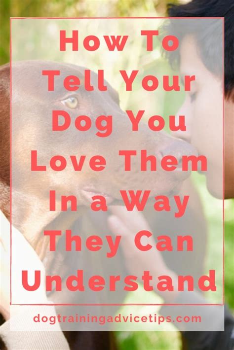 How To Tell Your Dog You Love Them In A Way They Can Understand Dog