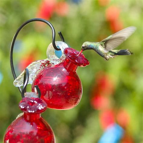 Pixie Hanging Glass Hummingbird Feeder Yard Envy Humming Bird