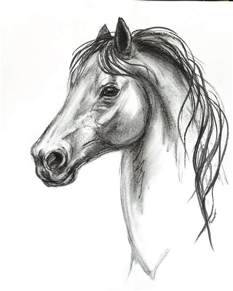 Original Horse Charcoal Drawing Etsy Charcoal Drawing Animals