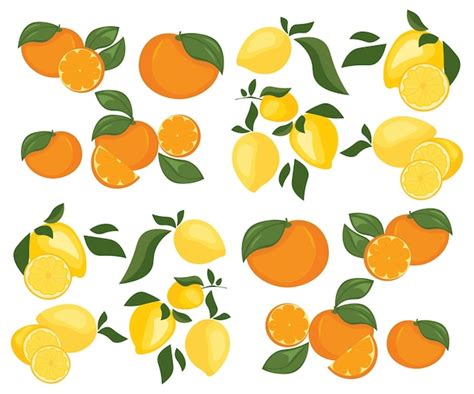 Oranges Et Citrons Vecteur Premium