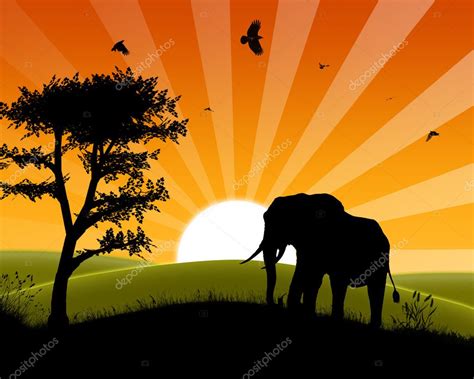 Africa Sunset Silhouette Of Elephant Approaching Three Stock Photo By