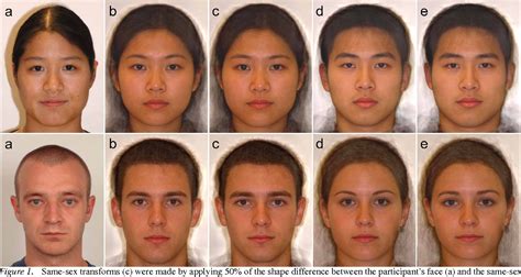 figure 1 from facial resemblance increases the attractiveness of same sex faces more than other