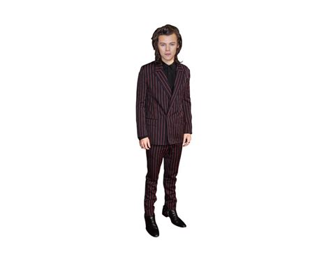 Cardboard cutouts have traditionally lined shop windows and the cinema foyer for years, but now you too can decorate your own home, office, child's bedroom or party venue in equal measure this harry styles standee is the perfect focus point of any themed party or a gift sure to delight the most avid fan. Harry Styles Life Size Celebrity VIP Cardboard Cutout Standee
