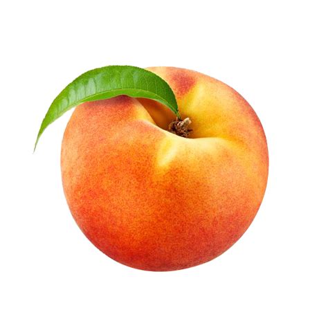 Tropical Peach Transparent Png Png Play