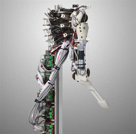 Eccerobot Mimics Human Skeleton And Muscles Futuristic Robot Robot
