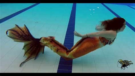 Raina Mermaid Swims In Sussex Nb Youtube
