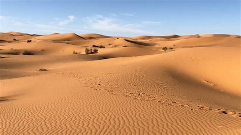 Sahara Desert Virtual Backgrounds