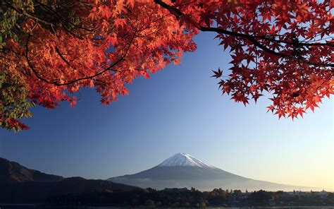 Mount Fuji Autumn Maple Japan Hd Wallpapers
