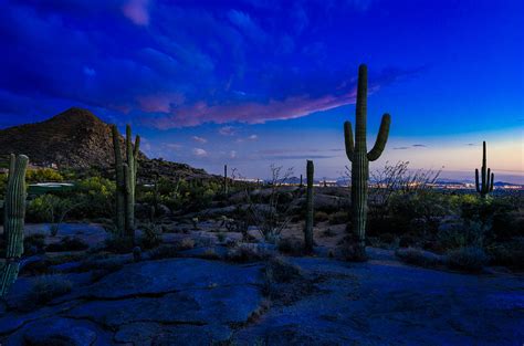 Desert landscape with cactus and full moon on night. Scott McGuire: Artist Website
