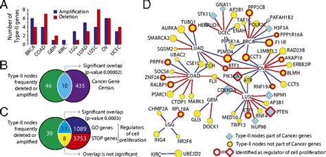 Controllability Analysis Of The Directed Human Protein Interaction Network Identifies Disease