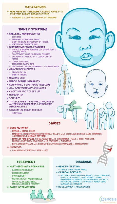 Kabuki Syndrome What Is It Causes Signs Symptoms And More Osmosis