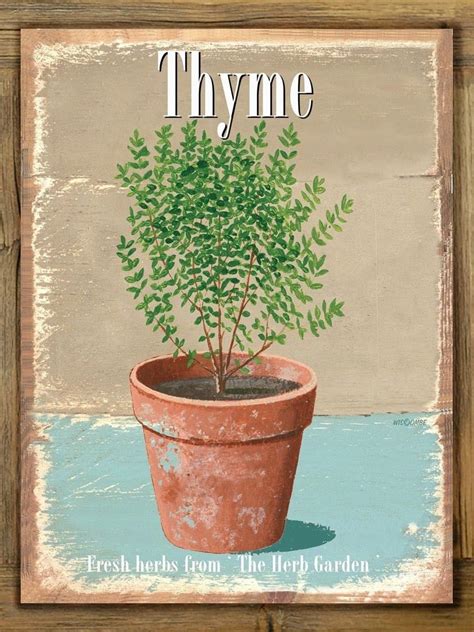 Thyme Potted Plant Metal Sign On Rustic Barn Wood Frame Retro Kitchen