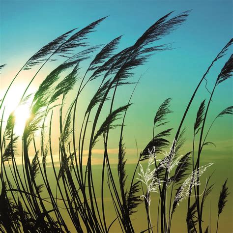 Oggi ti vorrei parlare di resilienza. La resilienza: una risorsa quotidiana - Proattivamente