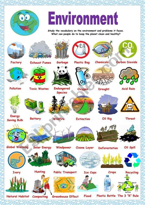 Environment Pictionary Worksheet Environment English Vocabulary