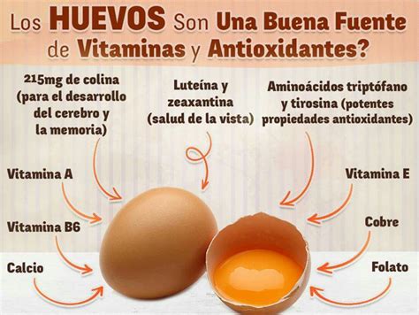 Propiedades De Los Huevos Benefits Of Eating Eggs Health Benefits