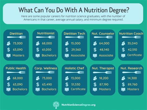 Exploring A Career In Nutrition And Dietetics Nutrition Science Degree