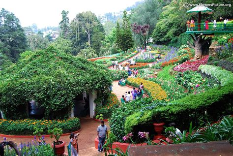 Landscape Ooty Wallpapers Wallpaper Cave