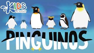 Pinguinos para Niños Datos Interesantes Diferentes T Doovi