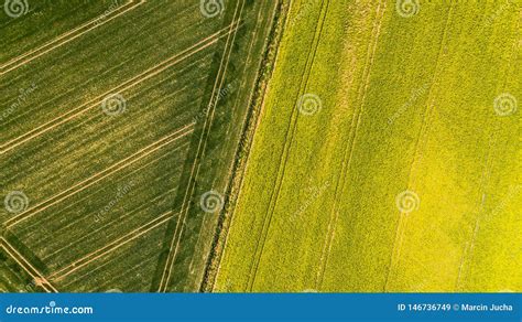 Farmland Aerial Texture Tractor Ploughing Field In Dry Season Royalty