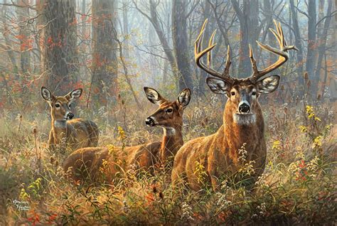 2048x1374 Forest Trees Artwork Deer Painting Coolwallpapersme