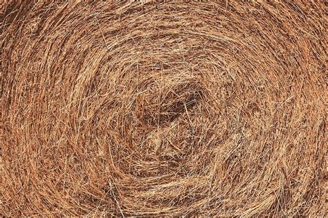 Hay Texture Ball Straw Grass Forage Pikist