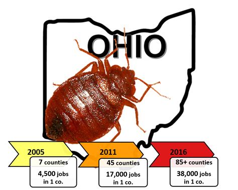 Insects Free Full Text Magnitude And Spread Of Bed Bugs Cimex