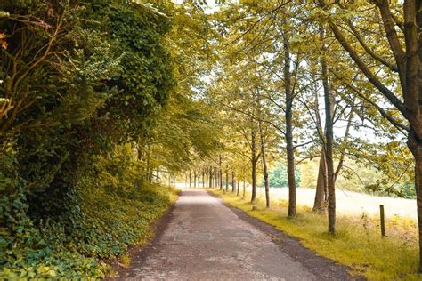 Wandlebury Country Park A Cambridge Walk Beware Of Serial Killers