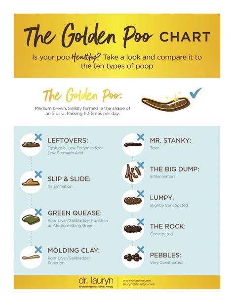 The 8 Types Of Poo And What They Say About Your Health Poo Guide