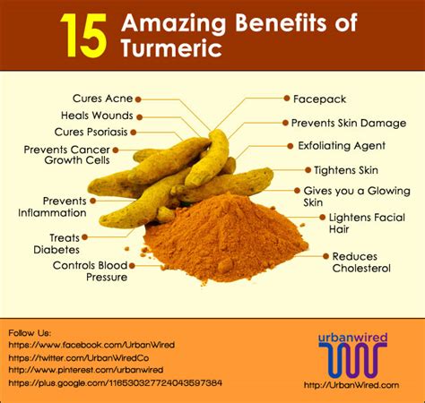 Its flavor is peppery, warm, and bitter while its when purchased in fresh root form, however, turmeric looks quite similar to ginger root, even though when. Buy Organic Turmeric Powder, Superfood - MORINGA TREES FOR ...