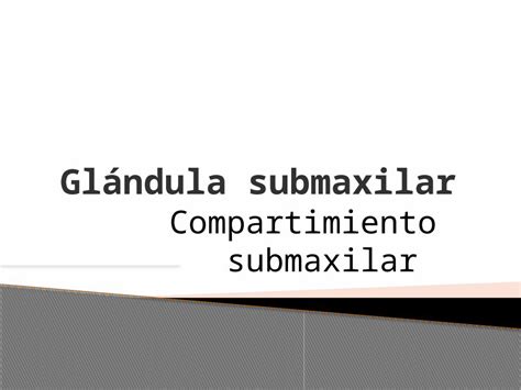 Glándula Submaxilar Y Glándula Sublingual Download Pptx Powerpoint