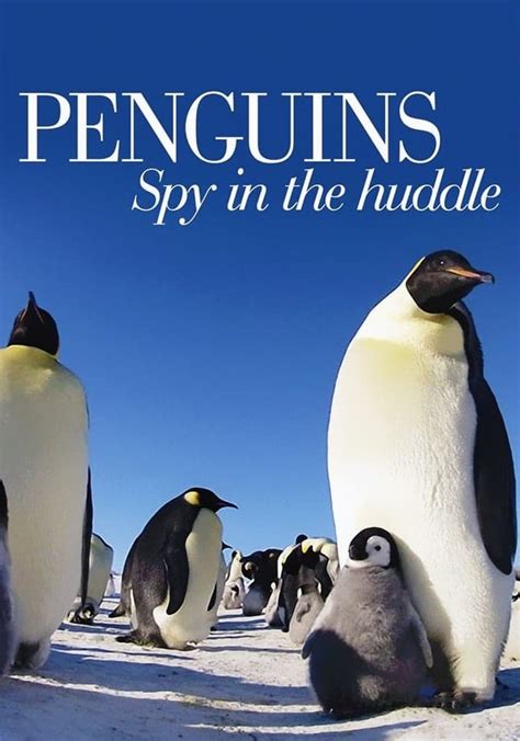 Penguins Spy In The Huddle Season 1 Episodes Streaming Online