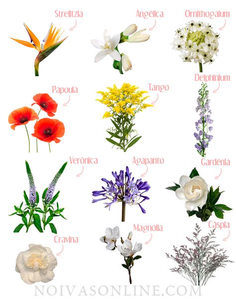 48 Flores Para Casamento Fotos E Nomes De Flores Para Decoração De