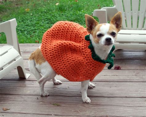 Handmade Crochet Dog Costume Pumpkin Sweater All Sizes