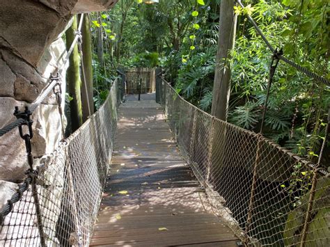 Photos Broken Rope Bridge Now Closed Off In The Oasis Exhibits At