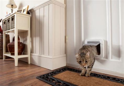 This cat door microchip enabled runs on 4 aa batteries which you have to buy separately. Innovative cat door uses microchip technology - Tails Of ...