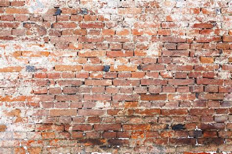 Old Brick Wall Free Stock Photo Public Domain Pictures Old Brick