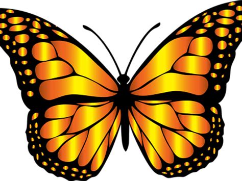 Monarch Butterfly Clipart Png Full Hd Butterfly Insect Clipart