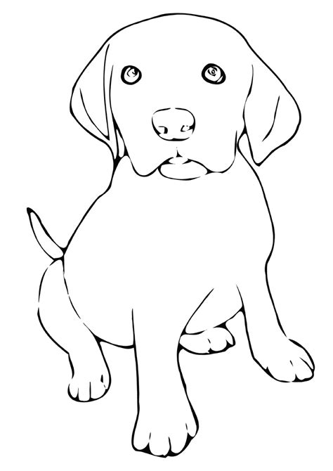 Labrador coloring pages | Coloring pages to download and print