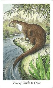 The minor arcana cards of osho zen tarot are significantly changed. Page of Vessels Wildwood Tarot Card Meanings - Otter | TarotX
