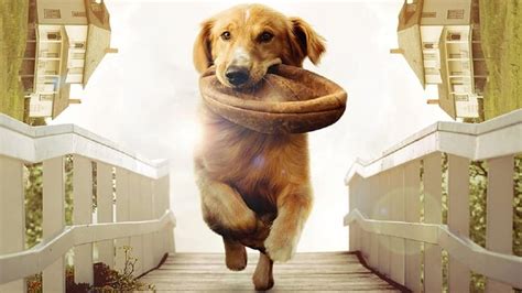 Watch A Dogs Purpose 2017 Full Online Free