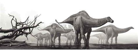 Brontosaurus Wiki Dinossauros Do Lucca Fandom
