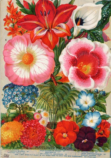 Vintage Flowers ~ Retrò Pop Art Style Tuttart Pittura Scultura
