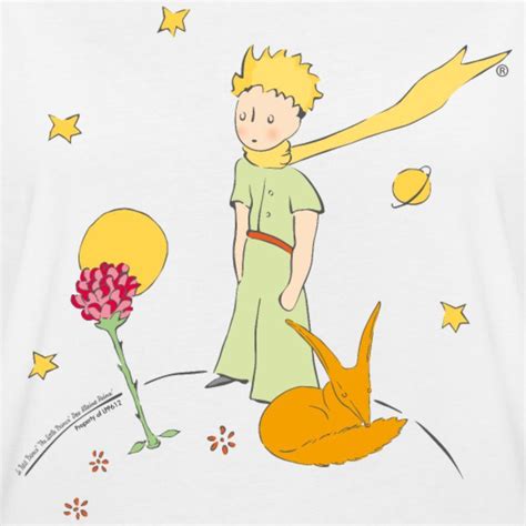 Image Result For The Little Prince And Rose Illustrations Little