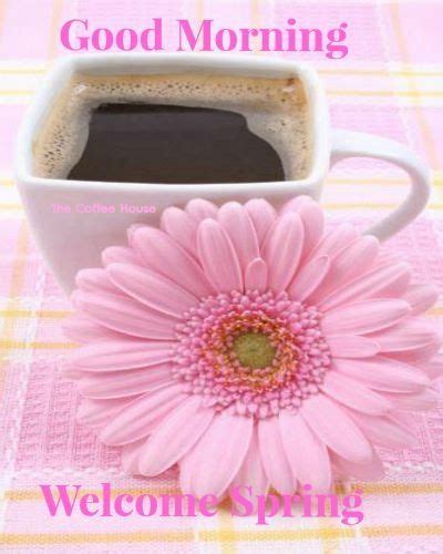 Good Morning Welcome Spring Good Morning Coffee Good Morning Good
