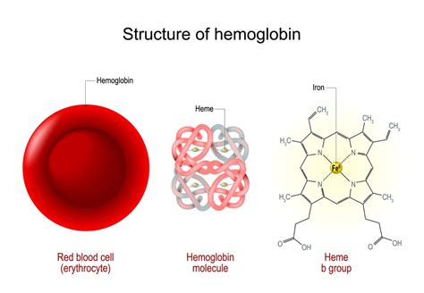 Estimation Of Haemoglobin Content Solution Parmacy