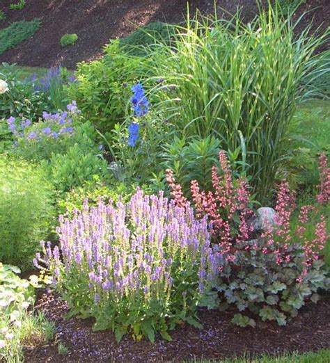 Grass trees 48 products found sort. I like how the zebra grass and other plants are all so vertical | Garden design pictures, Garden ...