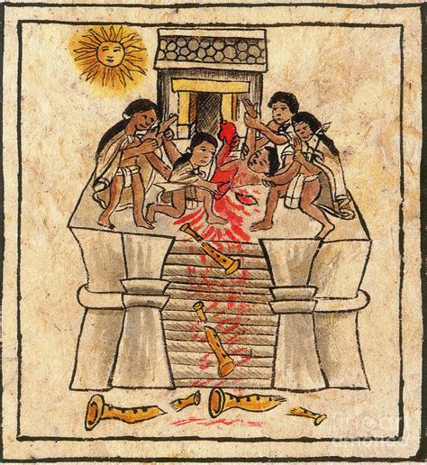 Aztec Human Sacrifice Codex Photograph By Photo Researchers