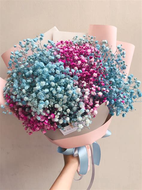 Most scientists and historians can't agree on how the name came to be. Medium coloured baby's breath flower bouquet, Gardening ...