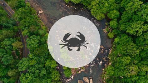 , contact patrick on facebook or email. Cancer July 2020 Monthly Horoscope